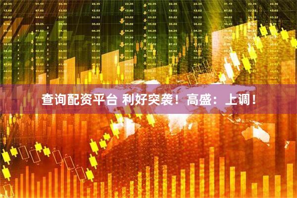 查询配资平台 利好突袭！高盛：上调！