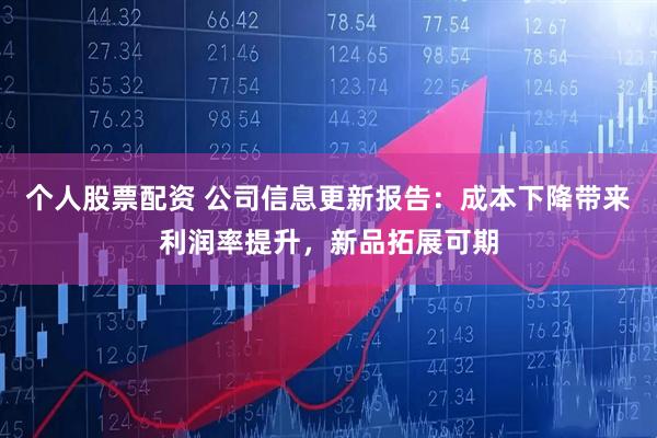 个人股票配资 公司信息更新报告：成本下降带来利润率提升，新品拓展可期