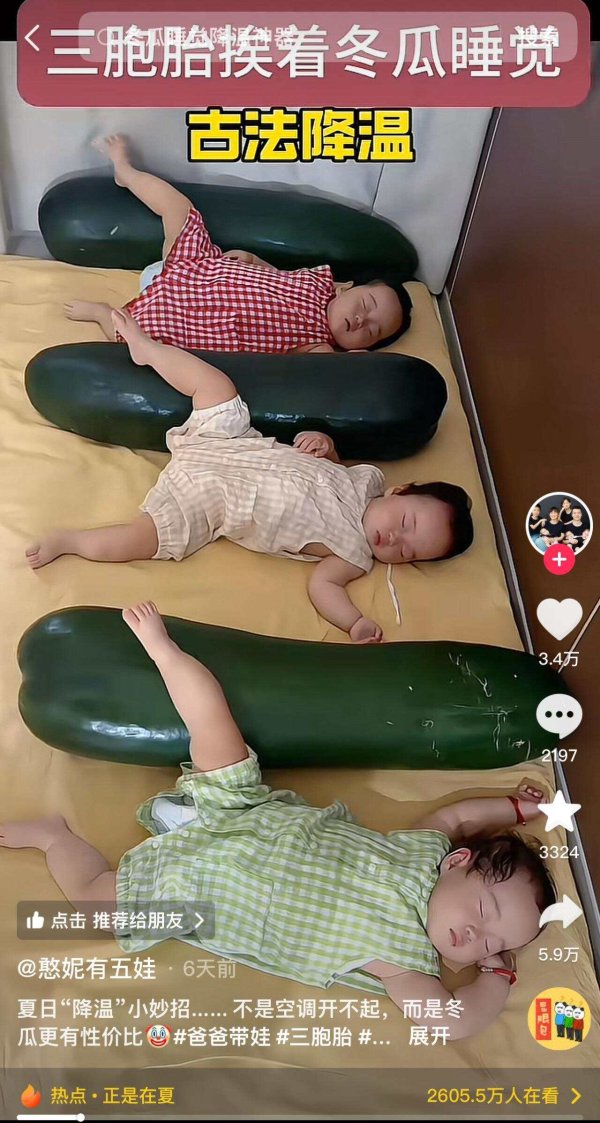 配资开户行情 鱼眼·探问丨冬瓜入怀解酷暑: 一个跨越明清的民间消暑IP何以翻红?