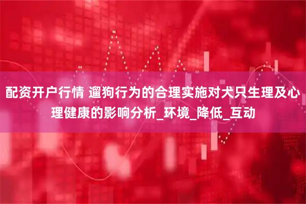 配资开户行情 遛狗行为的合理实施对犬只生理及心理健康的影响分析_环境_降低_互动