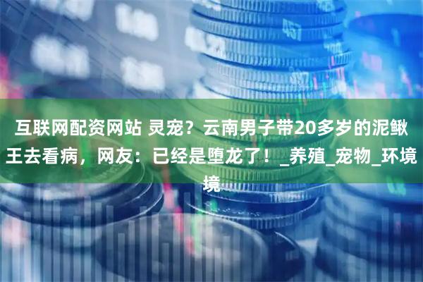 互联网配资网站 灵宠？云南男子带20多岁的泥鳅王去看病，网友：已经是堕龙了！_养殖_宠物_环境