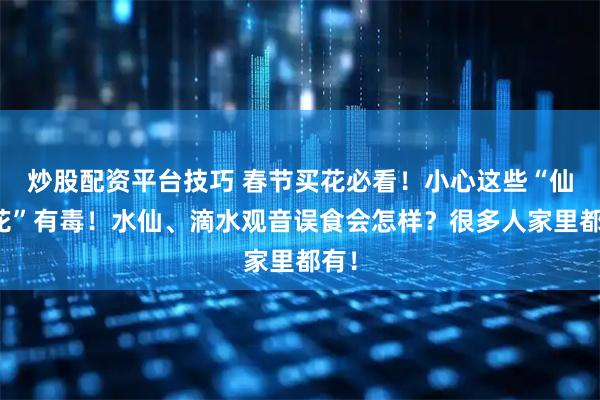 炒股配资平台技巧 春节买花必看！小心这些“仙女花”有毒！水仙、滴水观音误食会怎样？很多人家里都有！