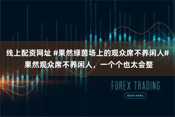 线上配资网址 #果然绿茵场上的观众席不养闲人# 果然观众席不养闲人，一个个也太会整